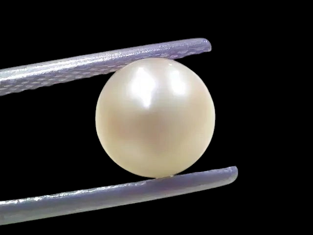 1.83 Ct 2.18 Chaw Natural Basra Pearl Real Basra Moti Certified - Venus Gems