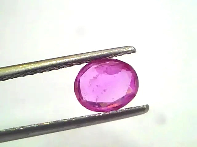 1.34 Ct Unheated Untreated Natural Madagaskar Ruby Manik Gems - Venus Gems