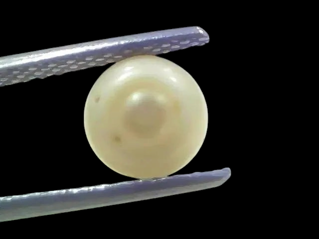 1.83 Ct 2.18 Chaw Natural Basra Pearl Real Basra Moti Certified - Venus Gems