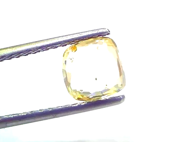 1.90 Ct Certified Unheated Untreated Natural Ceylon Yellow Sapphire - Venus Gems