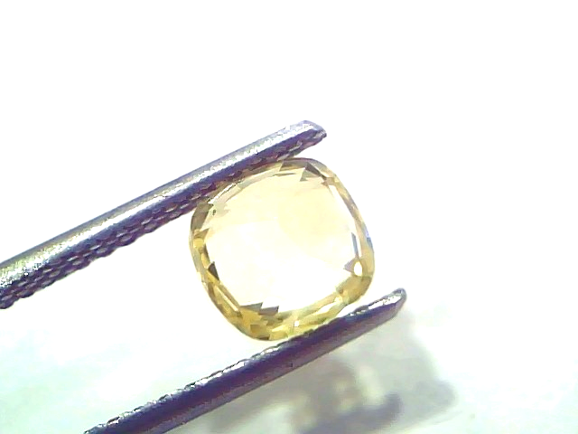 1.88 Ct Certified Unheated Natural Ceylon Yellow Sapphire Pukhraj displayed in tweezers, showcasing its brilliant yellow hue