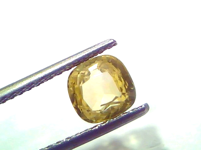 1.88 Ct Certified Unheated Natural Ceylon Yellow Sapphire Pukhraj displayed in tweezers, showcasing its brilliant yellow hue