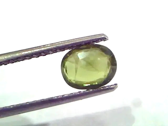 1.44 Carat Unheated Untreated Natural Srilankan Green Sapphire - Venus Gems