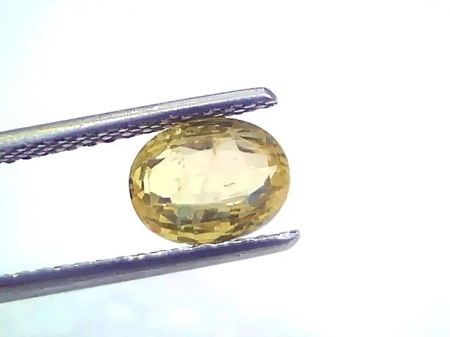 2.04 Ct Certified Unheated Untreated Natural Ceylon Yellow Sapphire