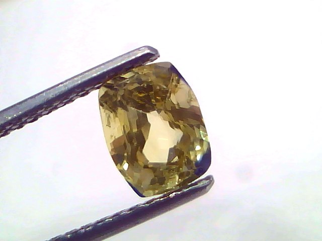 2.00 Carat 2.20 Ratti Certified Yellow Blue Pitambari Sapphire Pukhraj