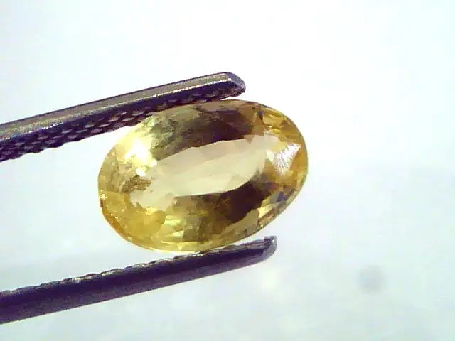 2.00 Ct 3.25 ratti Unheated Untreated Natural Ceylon Yellow Sapphire