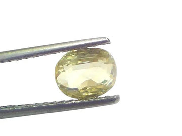 2.02 Ct GII Certified Unheated Untreated Natural Ceylon Yellow Sapphire - Venus Gems