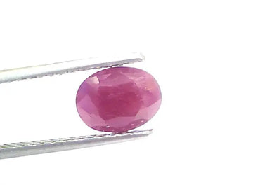 2.04 Ct Certified Unheated Untreated Natural New Burma Ruby