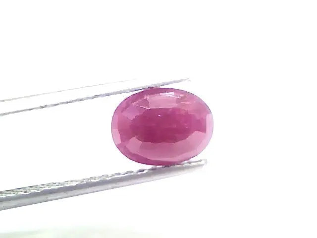 2.04 Ct Certified Unheated Untreated Natural New Burma Ruby