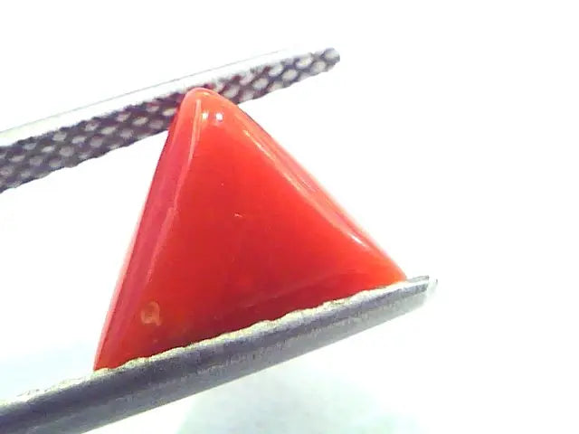 2.04 Carat Natural Italian Triangle Red Coral Moonga Gemstone