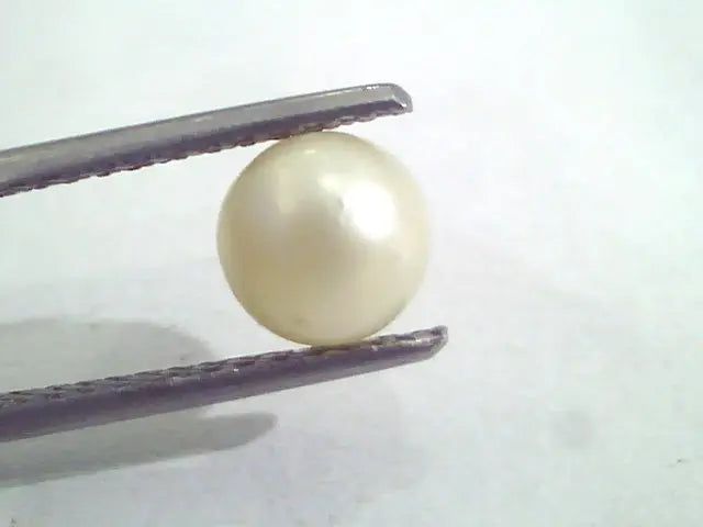 2.04 Ct Natural Certified Real South Sea Pearl,Certified Moti