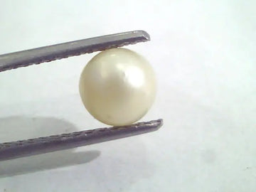 2.04 Ct Natural Certified Real South Sea Pearl,Certified Moti