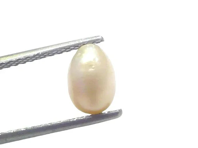 2.09 Ct Certified Natural Venunjula Real Sea Pearl Real Moti For Moon - Venus Gems