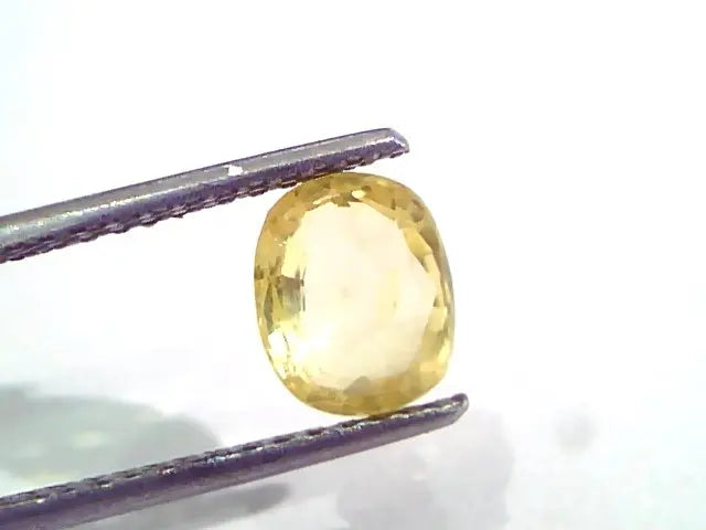 2.24 Ct Unheated Untreated Natural Ceylon Yellow Sapphire Pukhraj