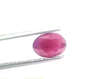 2.13 Ct Certified Unheated Untreated Natural New Burma Ruby - Venus Gems