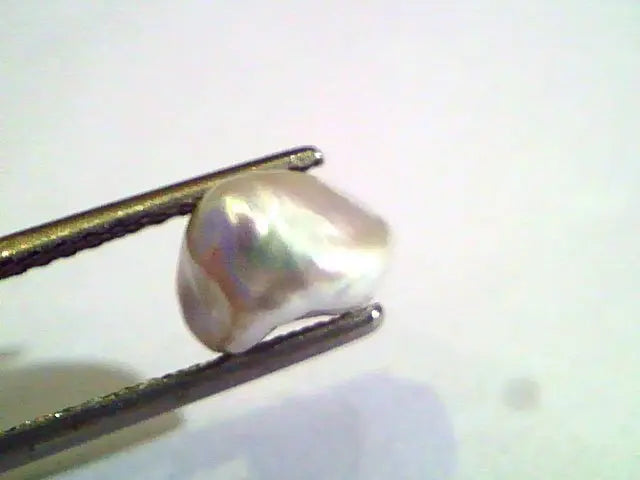 2.13 Carat Certified Natural Keshi Pearl,Certified Moti