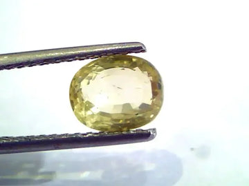 2.18 Ct Unheated Untreated Natural Ceylon Yellow Sapphire Gem - Venus Gems