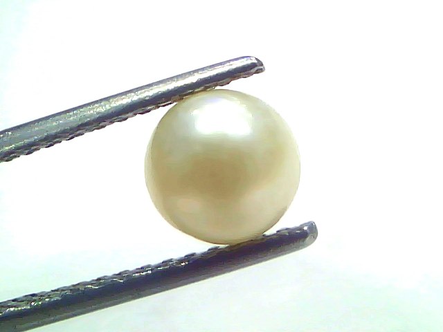 2.19 Carat Natural Certified Real South Sea Pearl (Moti) – 2.40 Ratti | Moon Gemstone