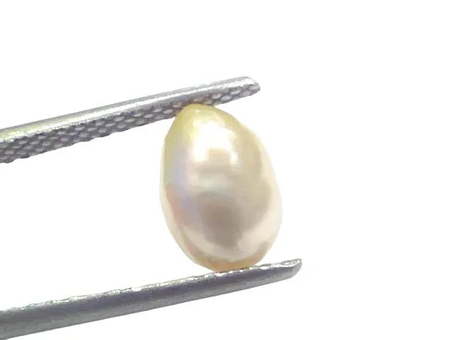 2.20 Ct Certified Natural Venunjula Real Sea Pearl Real Moti For Moon - Venus Gems