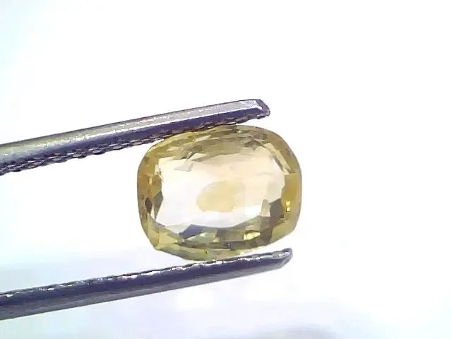 2.26 Ct Certified Unheated Untreated Natural Ceylon Yellow Sapphire - Venus Gems