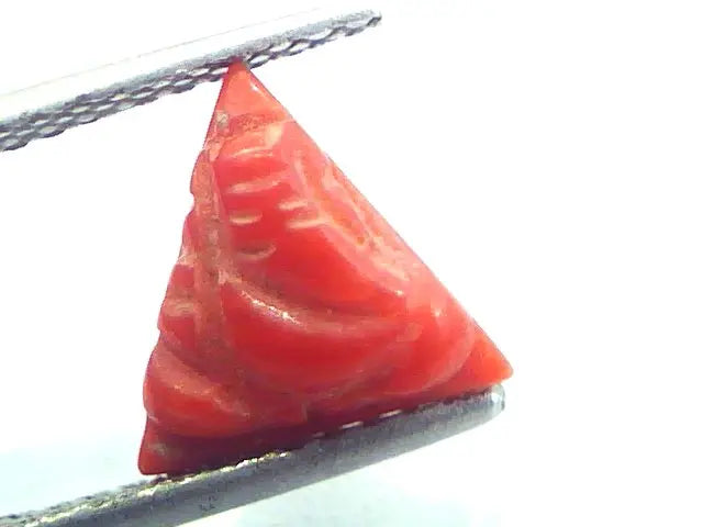 2.21 Carat Natural Italian Triangle Red Coral Moonga Gemstone