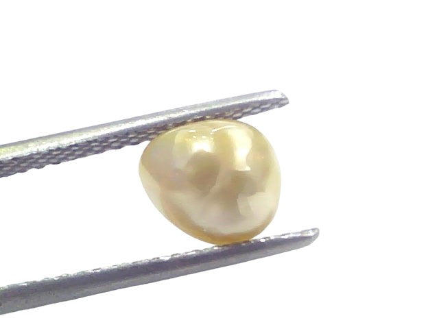 2.21 Ct Certified Natural Venunjula Real Sea Pearl Real Moti For Moon