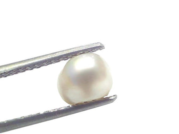 2.22 Ct Certified Natural Venunjula Real Sea Pearl Real Moti For Moon