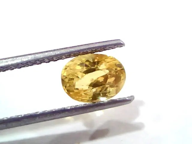 2.25 Ct Certified Unheated Untreated Natural Ceylon Yellow Sapphire Gems