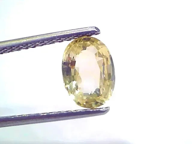 2.17 Ct Certified Unheated Untreated Natural Ceylon Yellow Sapphire - Venus Gems