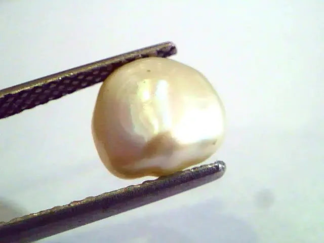 2.27 Carat Certified Natural Keshi Pearl,Certified Moti