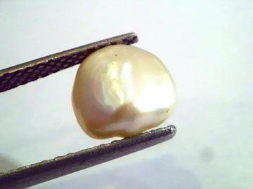 2.27 Carat Certified Natural Keshi Pearl,Certified Moti