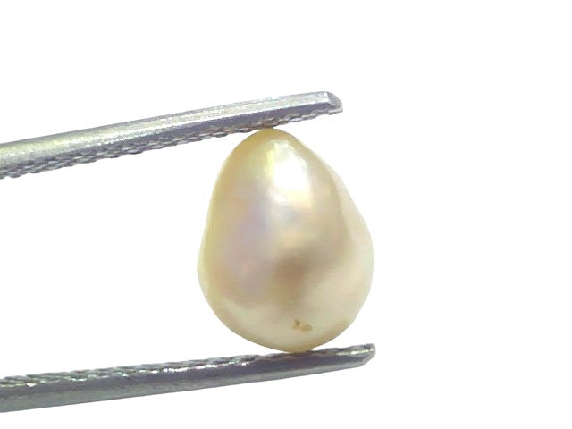 2.29 Ct Certified Natural Venunjula Real Sea Pearl Real Moti For Moon