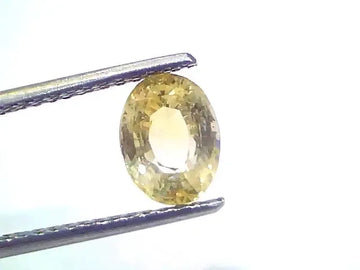 2.35 Ct Certified Unheated Untreated Natural Ceylon Yellow Sapphire - Venus Gems