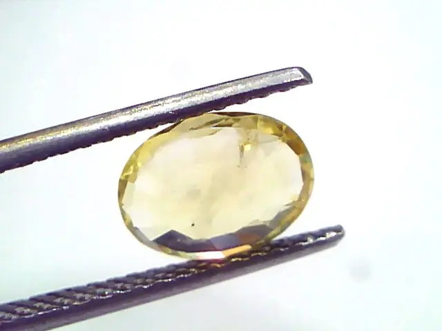 2.33 Ct Unheated Untreated Natural Ceylon Yellow Sapphire Pukhraj