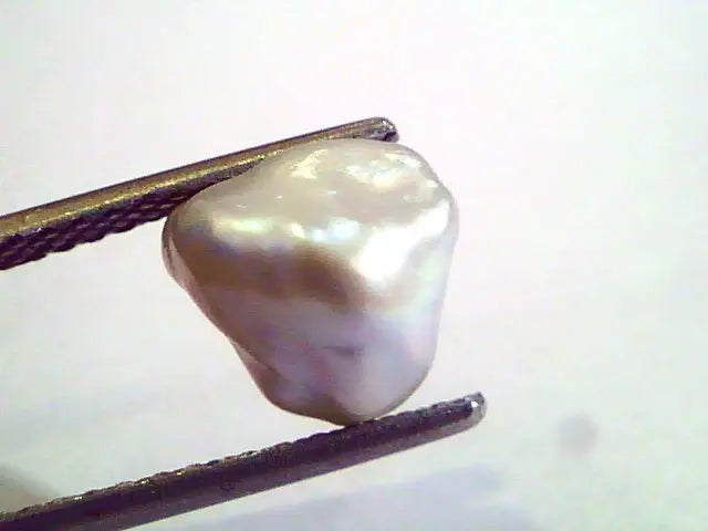2.31 Carat Certified Natural Keshi Pearl,Certified Moti