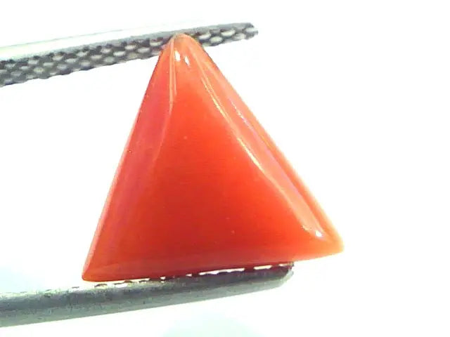 2.32 Carat Natural Italian Triangle Red Coral Moonga Gemstone