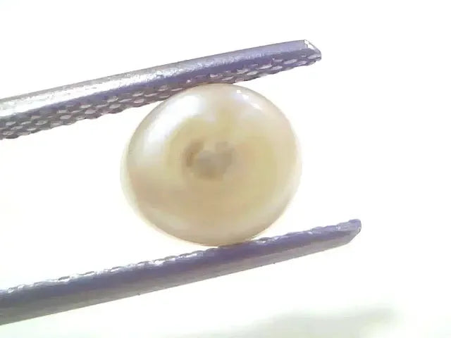 2.34 Ct 3.56 Chaw Natural Basra Pearl Real Basra Moti Certified - Venus Gems