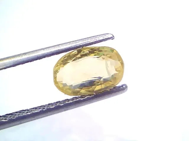 2.29 Ct Certified Unheated Untreated Natural Ceylon Yellow Sapphire - Venus Gems