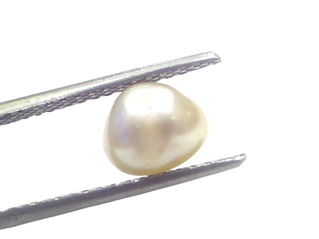2.37 Ct Certified Natural Venunjula Real Sea Pearl Real Moti For Moon