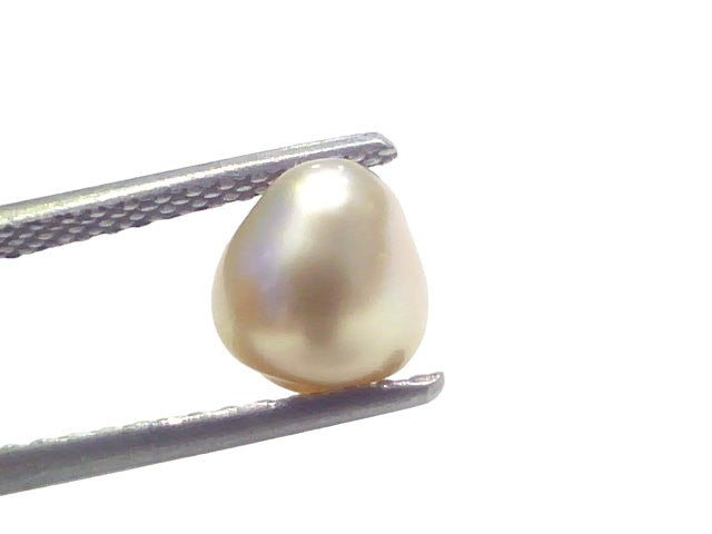 2.38 Ct Certified Natural Venunjula Real Sea Pearl Real Moti For Moon