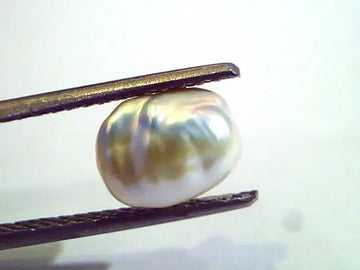 2.39 Carat Certified Natural Keshi Pearl,Certified Moti