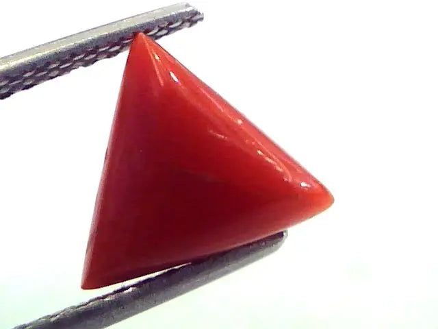 2.40 Carat Natural Italian Triangle Red Coral Moonga Gemstone