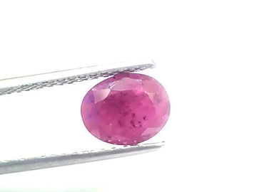 2.43 Ct Certified Unheated Untreated Natural New Burma Ruby