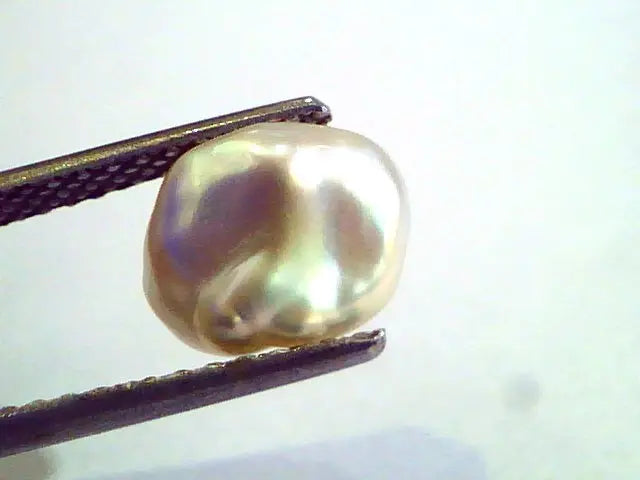 2.41 Carat Certified Natural Keshi Pearl,Certified Moti