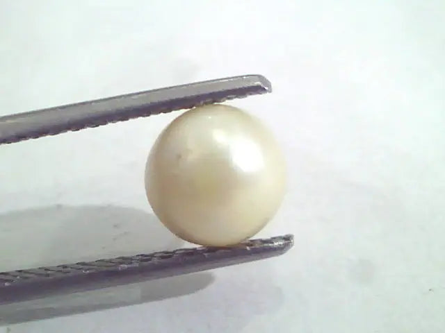 2.42 Ct Natural Certified Real South Sea Pearl,Certified Moti