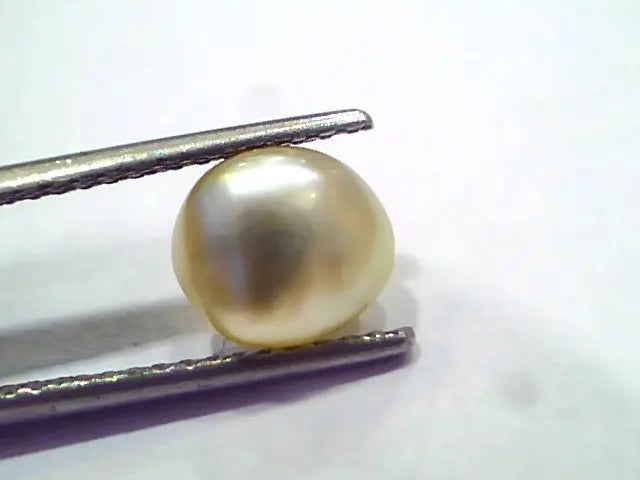 2.44 Ct Certified Natural Venunjula Real Sea Pearl, Real Moti