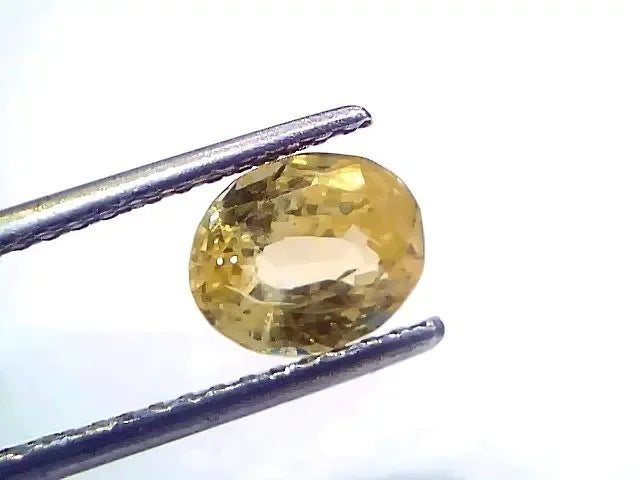 2.44 Ct Certified Unheated Untreated Natural Ceylon Yellow Sapphire Gems - Venus Gems