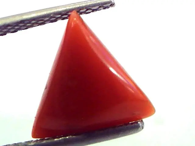 2.45 Carat Natural Italian Triangle Red Coral Moonga Gemstone