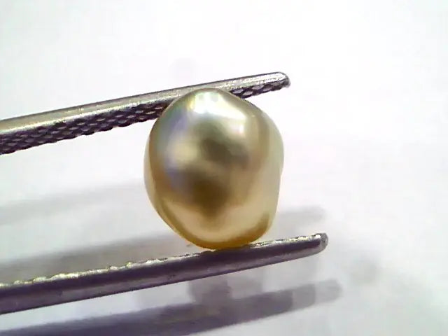 2.48 Ct Certified Natural Venunjula Real Sea Pearl, Real Moti
