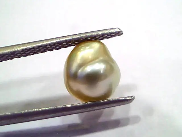 2.48 Ct Certified Natural Venunjula Real Sea Pearl, Real Moti